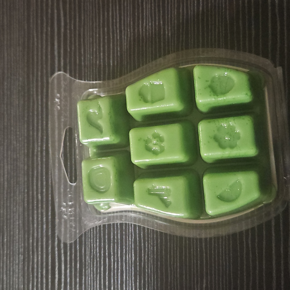 Sea Salt And Avocado scentsy wax bar - Picture 3 of 3